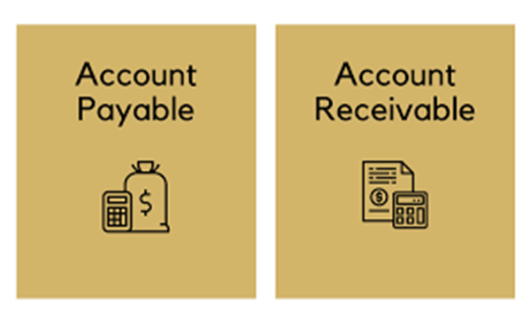 Accounts Payable & Receivable 